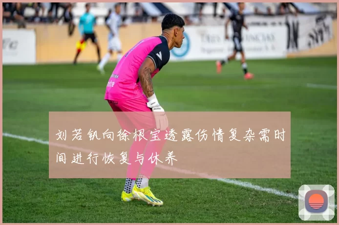 刘若钒向徐根宝透露伤情复杂需时间进行恢复与休养